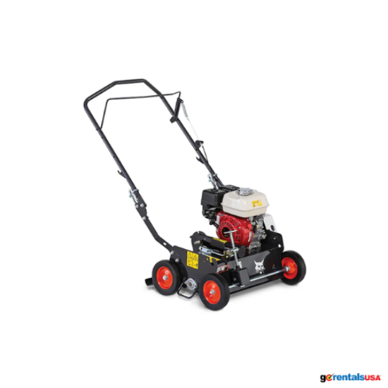 Picture of POWER RAKE DETHATCHER